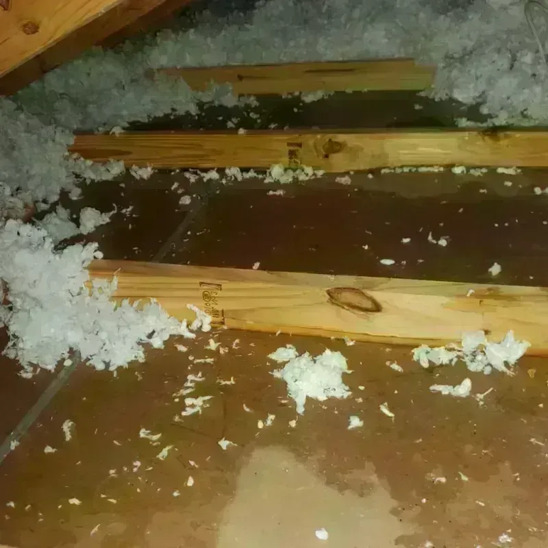 Attic Water Damage in Jacksonville, TX