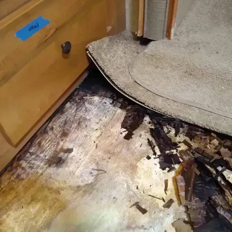 Best Wood Floor Water Damage Service in Jacksonville, TX